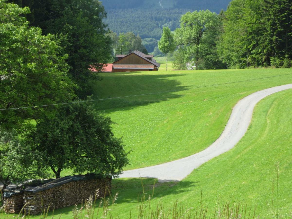 Ferienwohnungen Haus Panorama Neuschönau Exterior foto